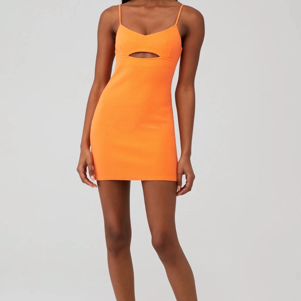 BB DAKOTA Out Late Dress - BRAND NEW WITH TAGS